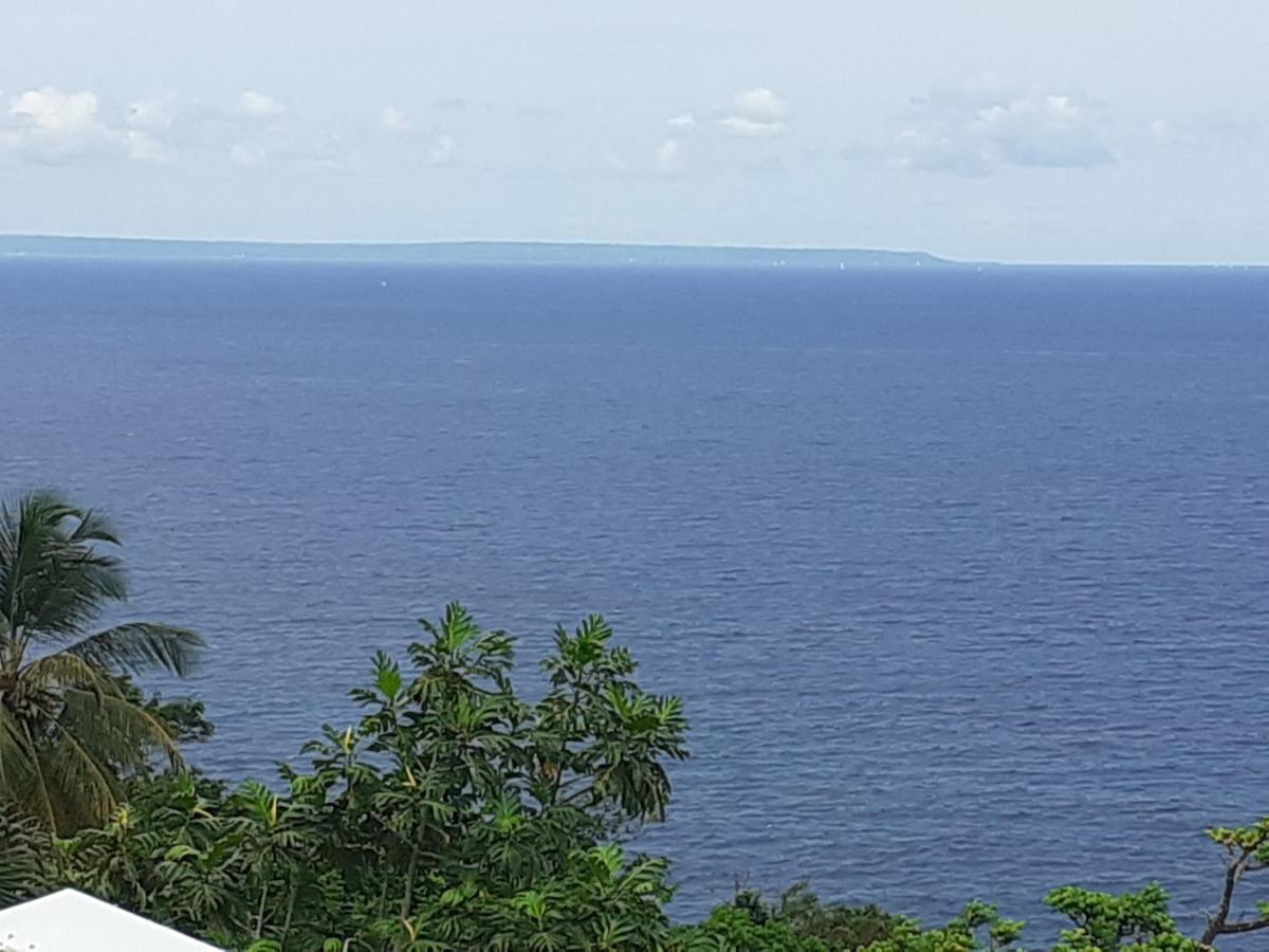 Awmony'Kaz, Gite A Trois-Rivieres Guadeloupe エクステリア 写真