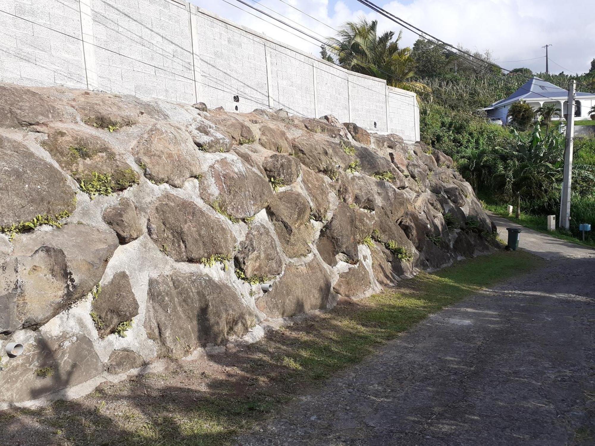 Awmony'Kaz, Gite A Trois-Rivieres Guadeloupe エクステリア 写真