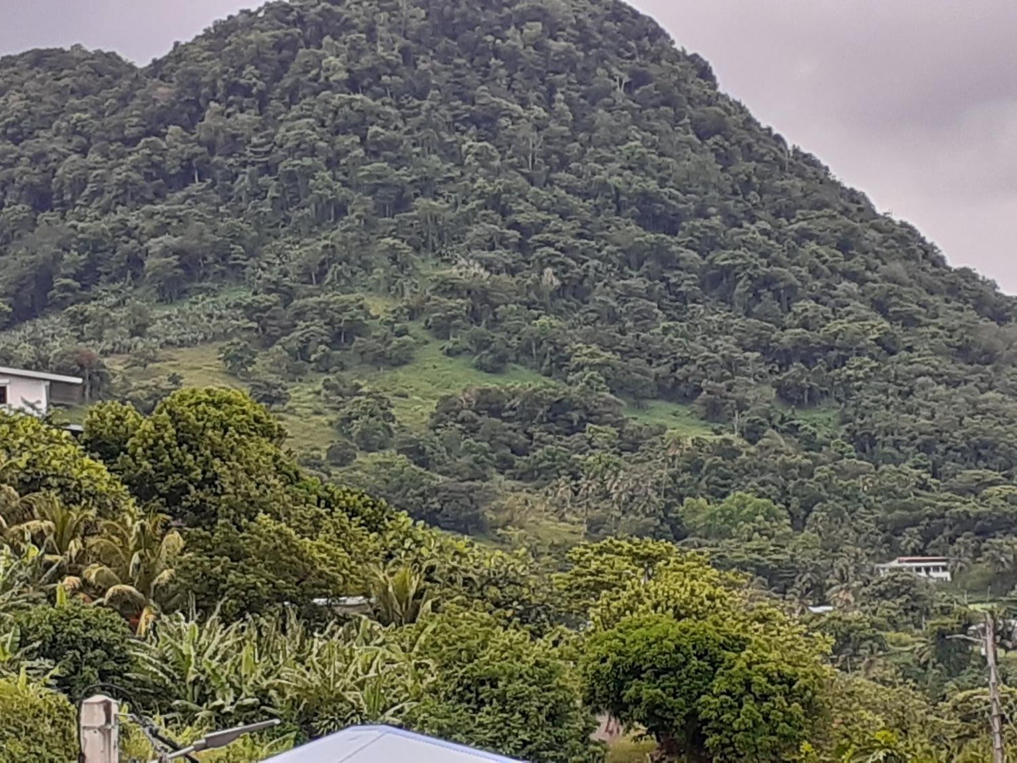 Awmony'Kaz, Gite A Trois-Rivieres Guadeloupe エクステリア 写真