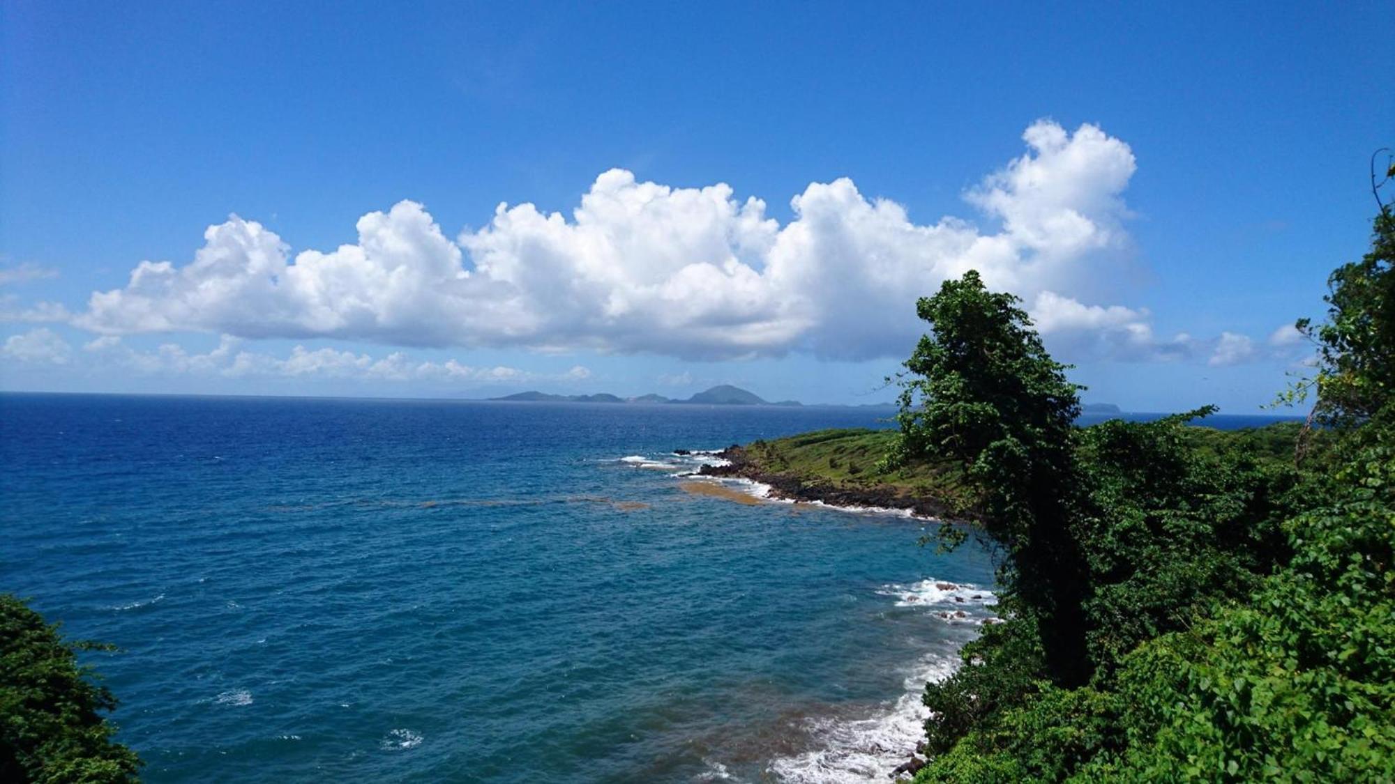 Awmony'Kaz, Gite A Trois-Rivieres Guadeloupe エクステリア 写真