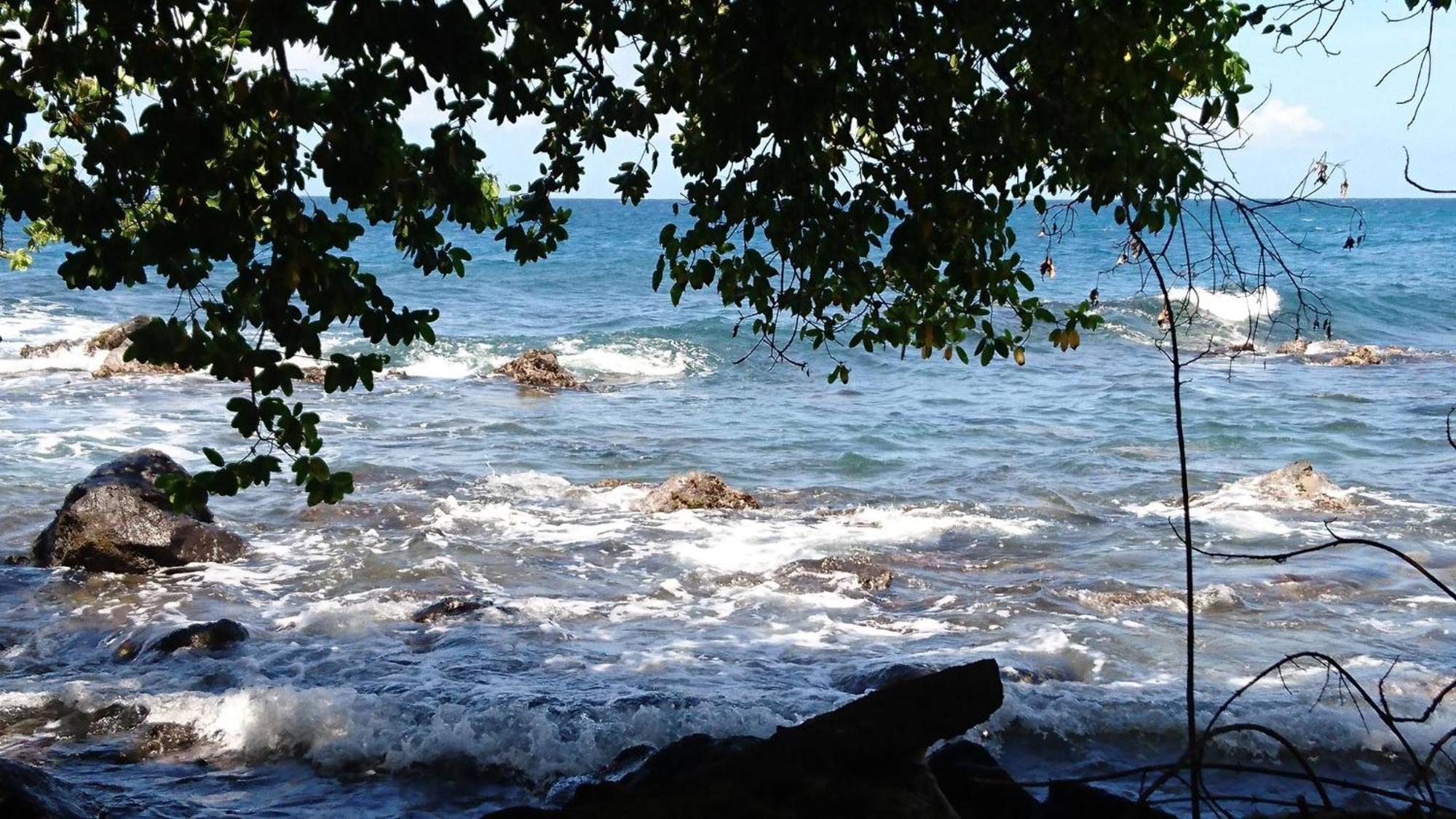 Awmony'Kaz, Gite A Trois-Rivieres Guadeloupe エクステリア 写真