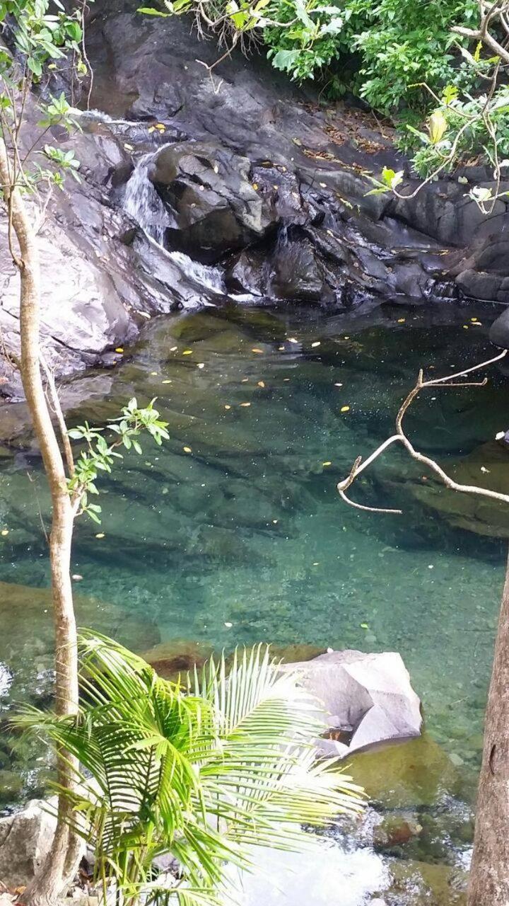 Awmony'Kaz, Gite A Trois-Rivieres Guadeloupe エクステリア 写真